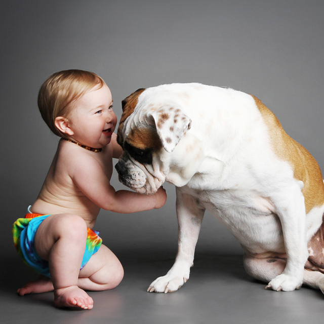 Professional photo of a dog and a baby.