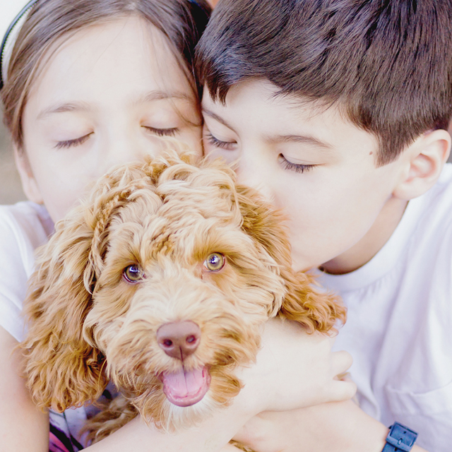 Photo in exterior of a brother and sister giving a kiss to their dog.